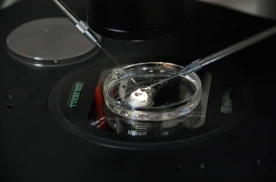 Slider image (3) Prof. Dr. Nilgun Turhan Fertility Clinic